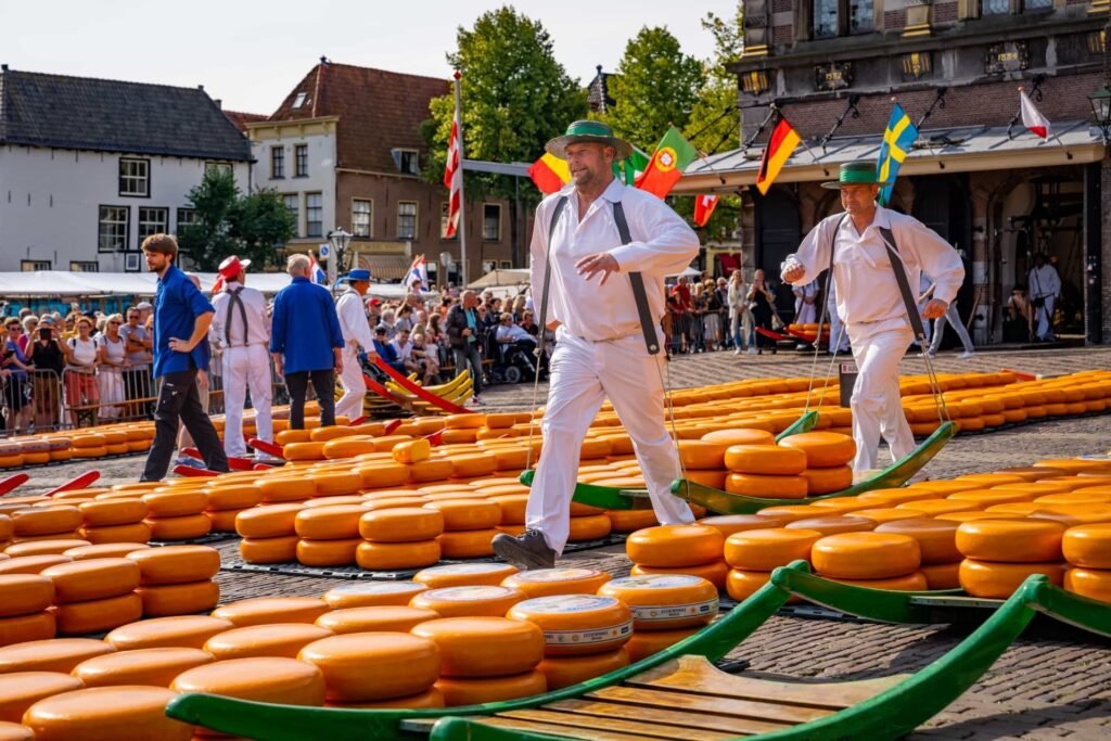 kaasmarkt alkmaar
